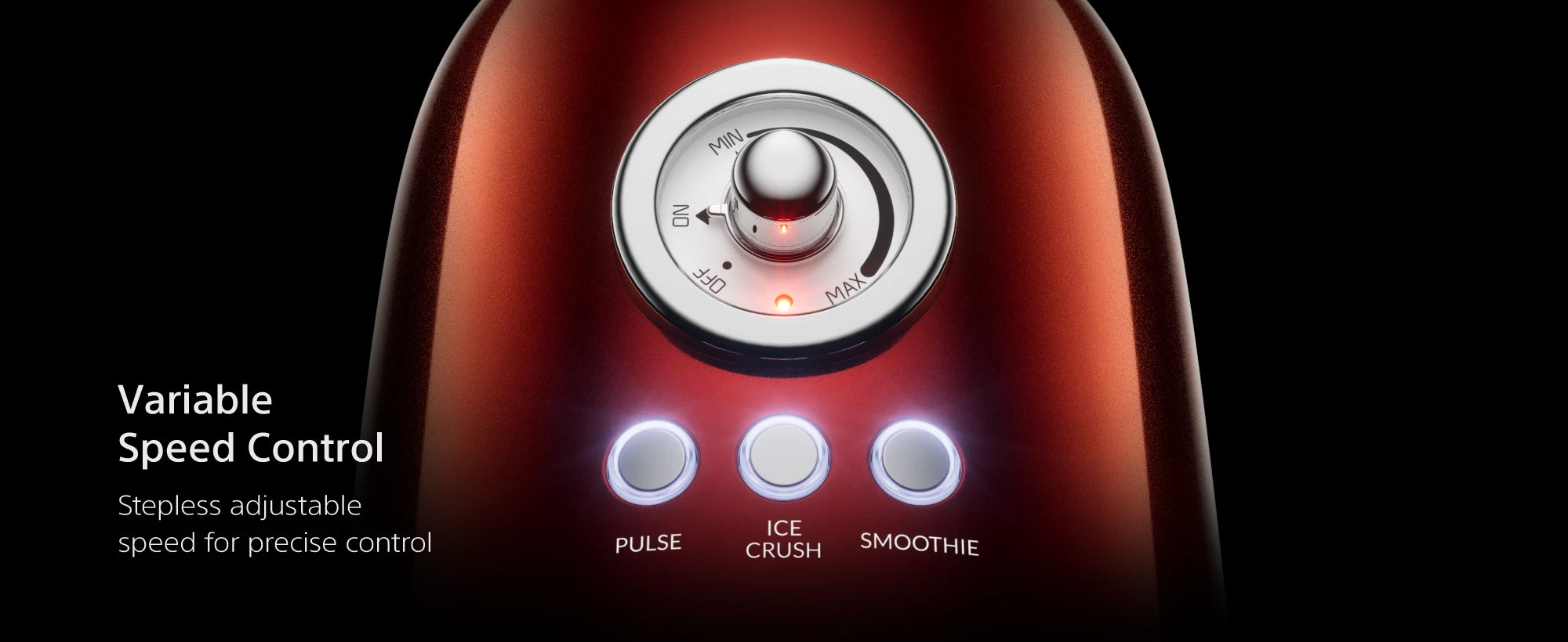 BL290 variable speed control with Pulse, Smoothie and Ice Crush presets