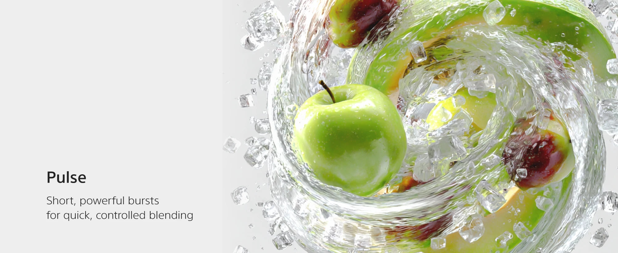 BL290 variable speed control with Pulse, Smoothie and Ice Crush presets