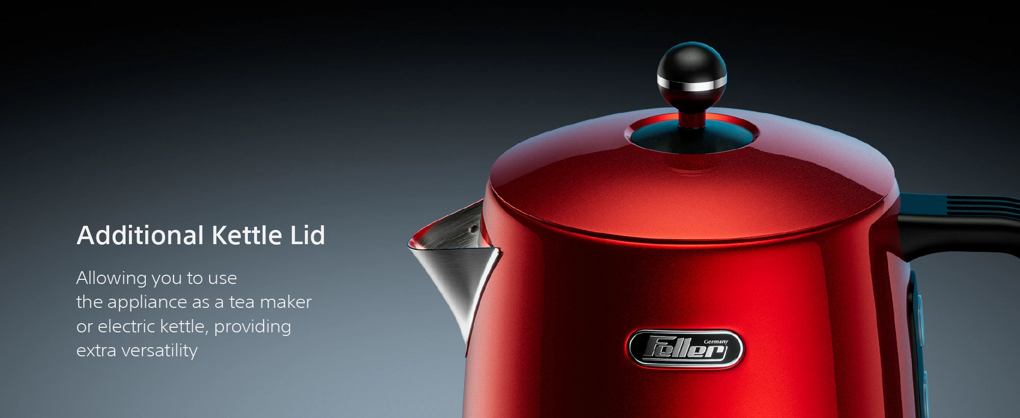 TS290 controls, additional kettle lid, spout filter and teapot filter